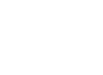 Logo Bee Collector_bez_napisu white kopia